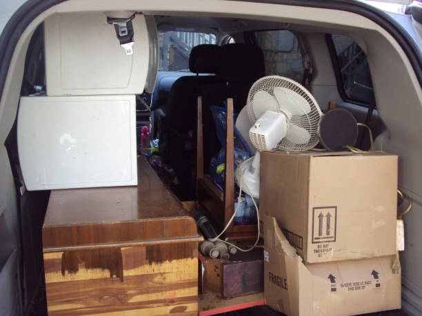 Best Carpet Removal and Disposal  in Lino Lakes, MN